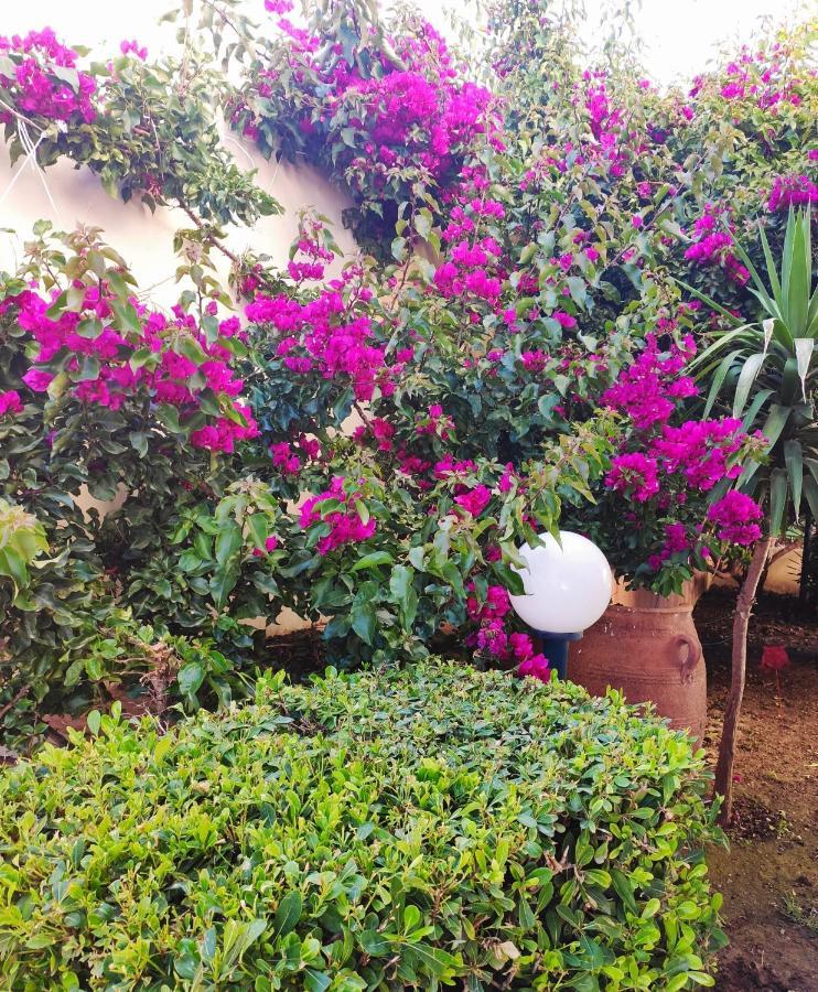 Villa Aphrodite Κολυμβάρι Εξωτερικό φωτογραφία